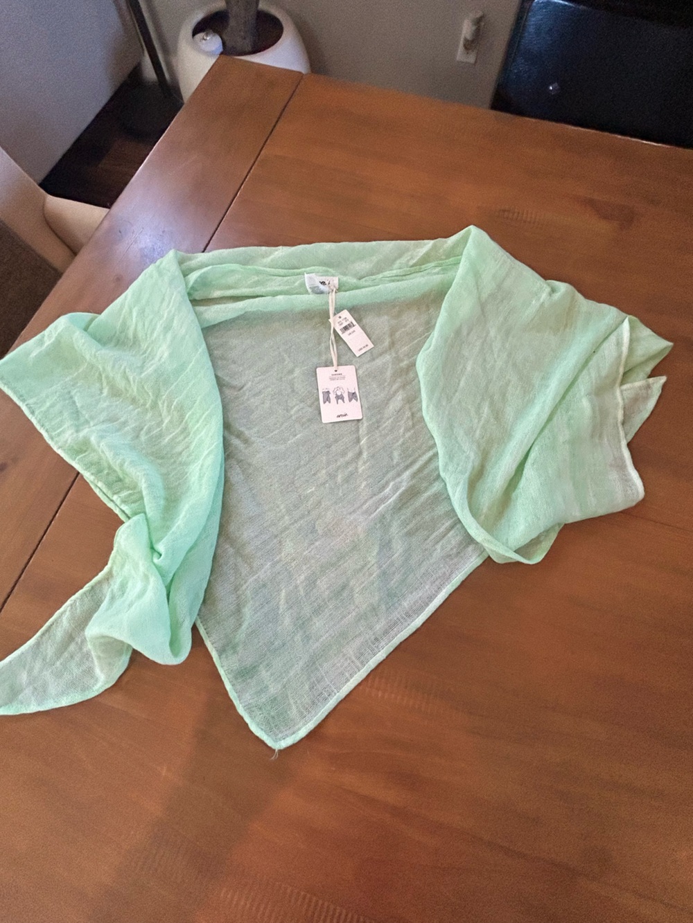 NWT Aerie Light Mint with Faint White Stripe Sheer Sarong Wrap